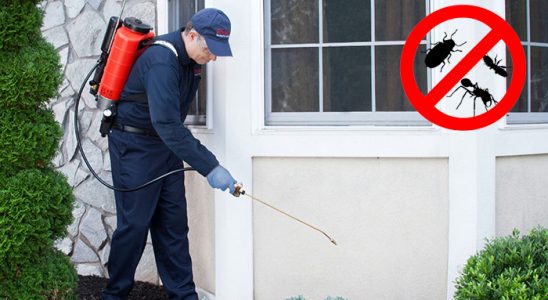 Palu Hamam Böceği İlaçlama böcek ilaçlama ve haşere kontrolü — ilaclama-tr.com